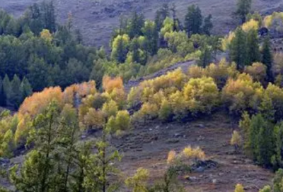 ​2025最霸气的开门红口号 鼠年公司开门红口号