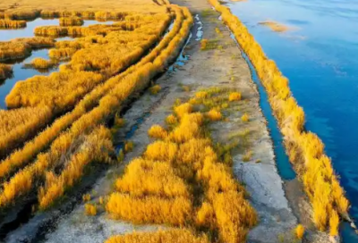 ​2025创意口号 创意口号