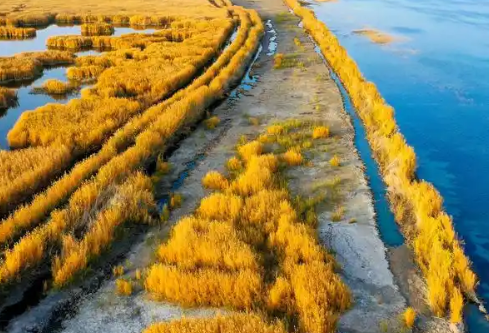 1765025303797105.png image.png