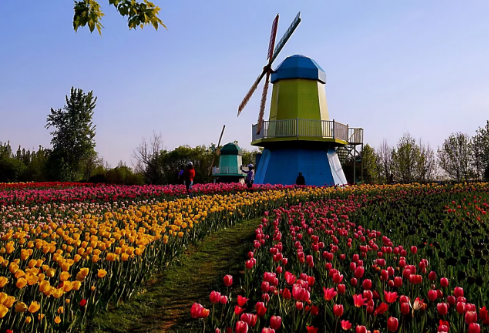 1765025469759854.png image.png