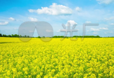 ​关于体育运动的口号 关于体育的口号