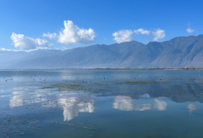 ​党员干部代表话承诺口号格言简短语