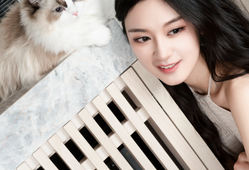 1766591696275819.png image.png