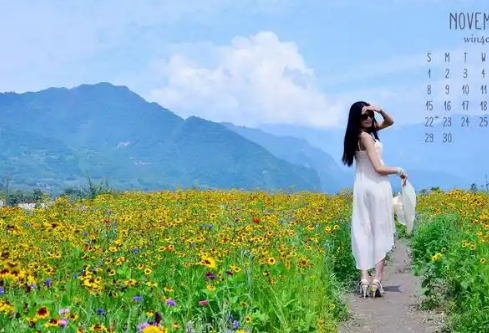 1767203251997588.png image.png