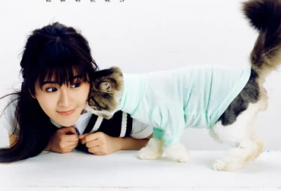 ​2026感恩节经典文案