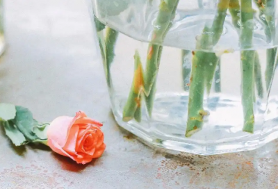 ​早安正能量经典问候语81句