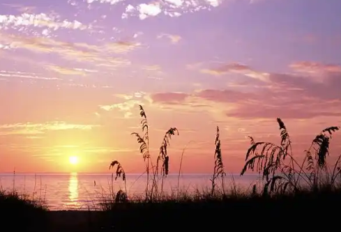 1767258699855221.png image.png