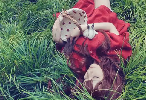 1767422109855155.png image.png