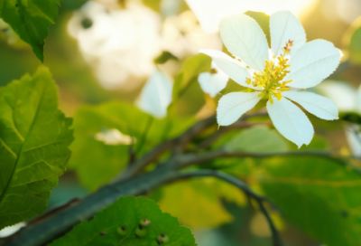 ​龙族经典句子82句