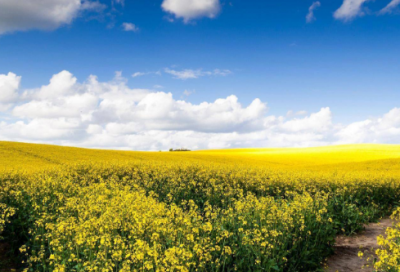 ​动漫经典的话88句