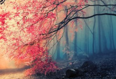 ​孤独小说家经典句子85句