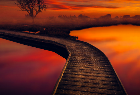 1767457403605804.png image.png