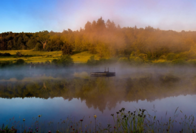 ​经典友情的句子摘录
