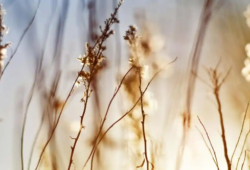 1768229800727658.png image.png