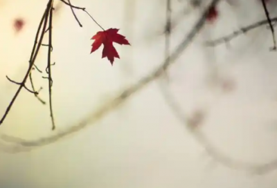 ​天使和魔鬼的爱情短句(天使与魔鬼爱情故事，求解答)