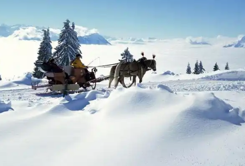 1768230629196433.png image.png