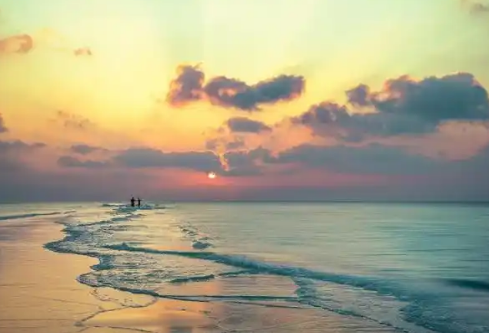 1768230795600852.png image.png