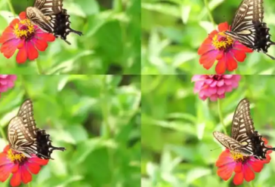 ​伤感爱情网络语句