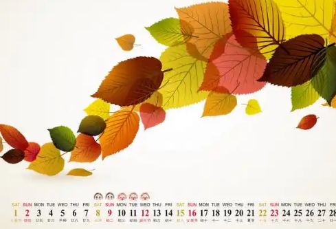 1768231955441226.png image.png