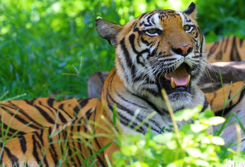 1768232121999077.png image.png