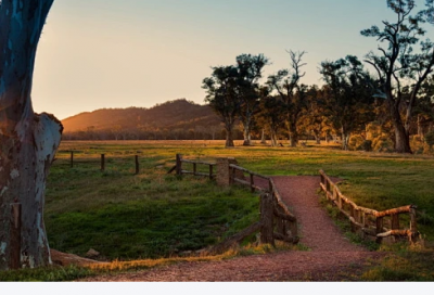 ​关于爱情的语句