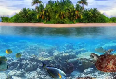 ​晚安心语：异地恋是一场需要坚守的爱情