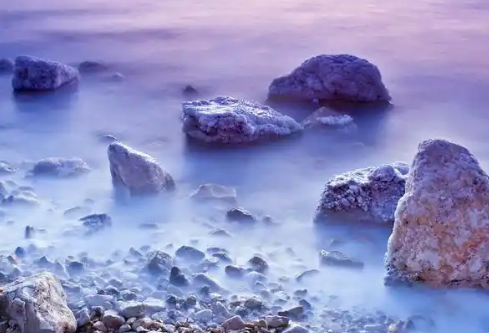 1768233280462833.png image.png