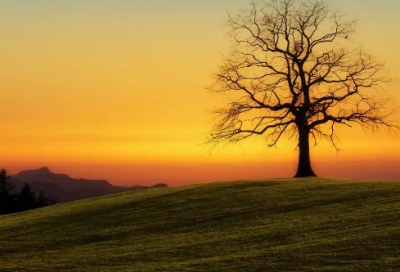 ​关于星星的唯美短句 关于星星的唯美短句爱情