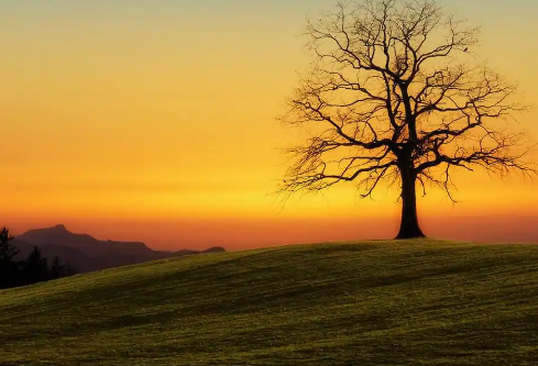 1768234109598400.png image.png