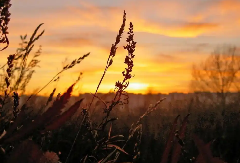 1768234275182213.png image.png