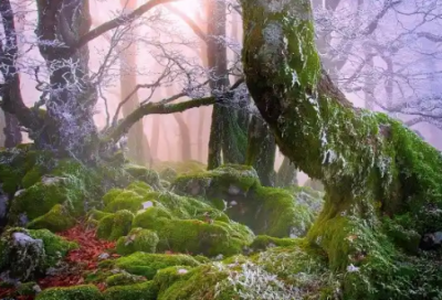 ​爱情其实是一种习惯