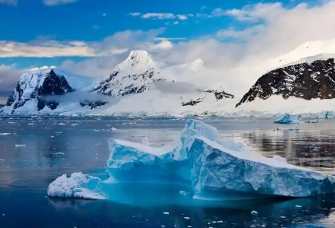 1768235270461818.png image.png