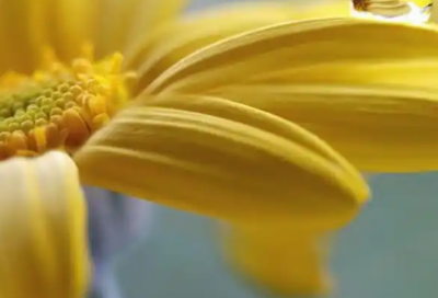 ​爱情的qq名78句