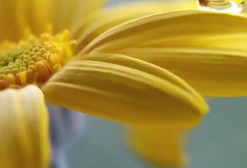 1768235435806379.png image.png