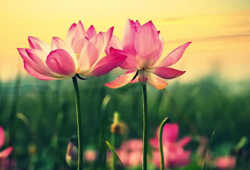 1768235601884838.png image.png