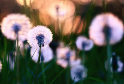 ​爱情语句 来世记得早点来娶我