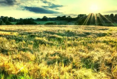 ​简短唯美爱情英文短句