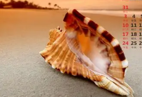 1768236761676310.png image.png