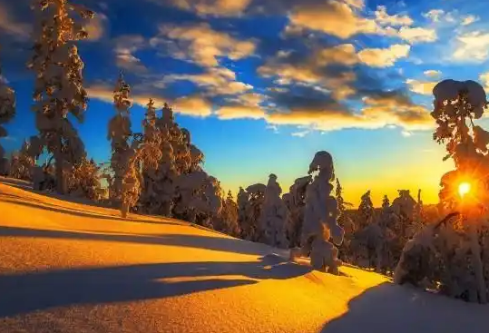 1768237755843545.png image.png