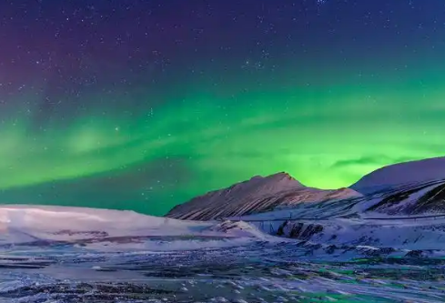 1768238584320609.png image.png