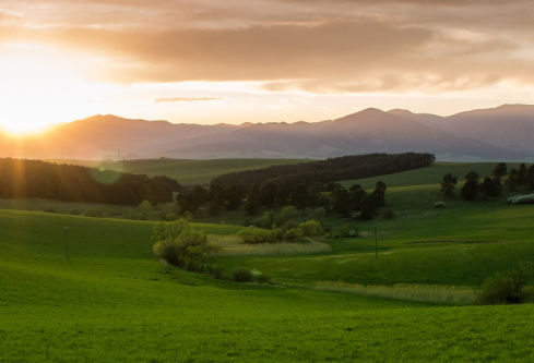 1768238916308044.png image.png