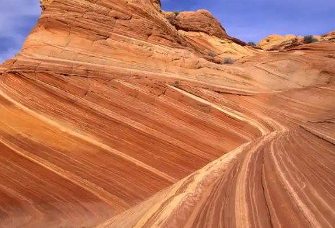 1768239082421902.png image.png