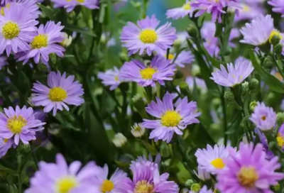 ​一句话打动人心爱情短句60句