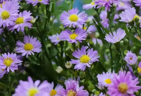 1768239579900728.png image.png