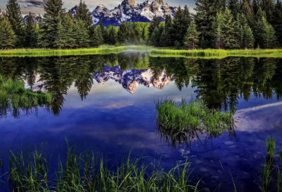 ​一段隐晦的表达爱情的话语