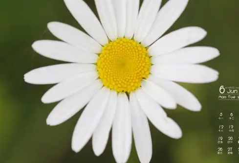 1768240242374442.png image.png