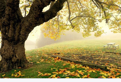 1768240905619010.png image.png