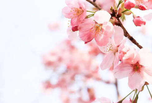 1768241071538630.png image.png