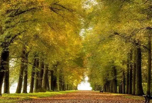 1768241237496116.png image.png