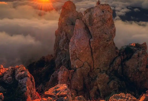 1768241402275471.png image.png